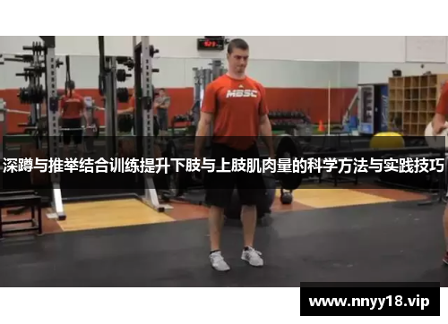 深蹲与推举结合训练提升下肢与上肢肌肉量的科学方法与实践技巧