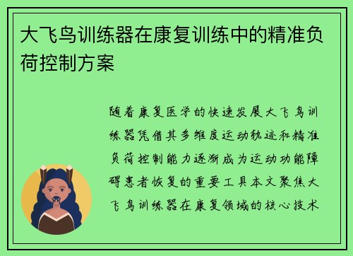 大飞鸟训练器在康复训练中的精准负荷控制方案